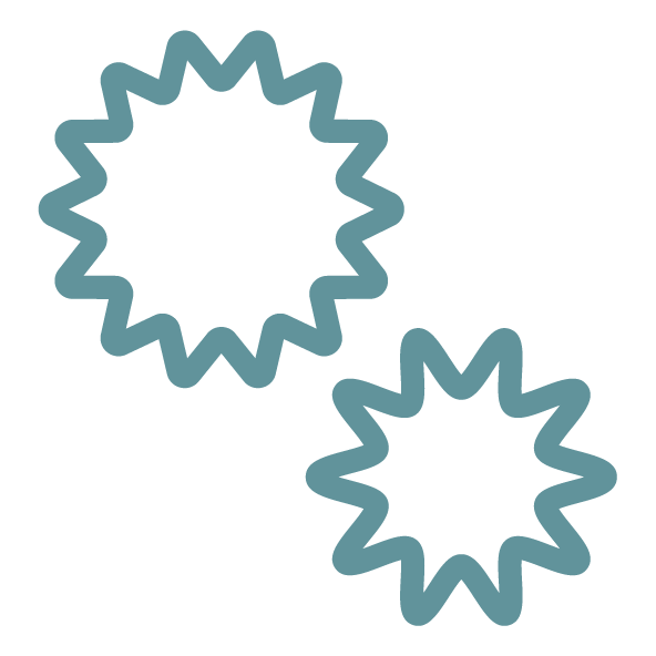 quint_icon4